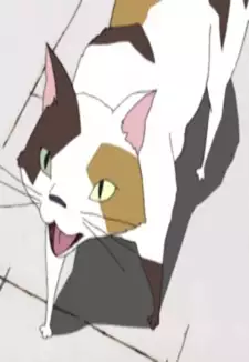 The Wind Cat