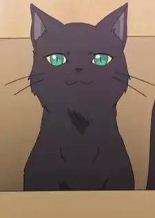 Cocoa