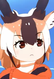 Pronghorn