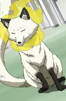 Yahiko
