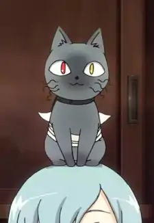 Baabu