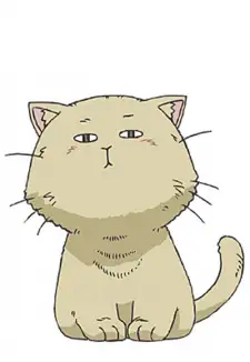 Kuma