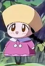 Renkopocchi