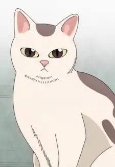 Gin