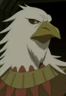 Hawk Condor