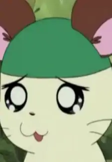 Kaburu-kun