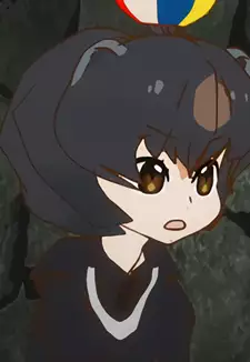 Japanese Black Bear