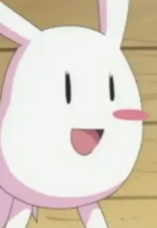 Pikota