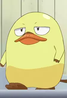 Kamo