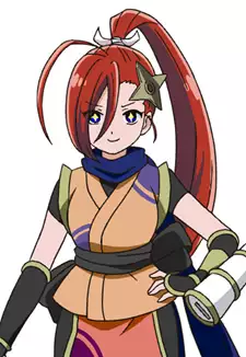 Shinobi Kansai
