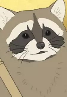 Raccoon