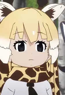 Reticulated Giraffe
