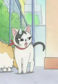 Tama