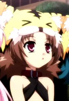 Tora