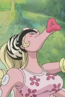 Octopako