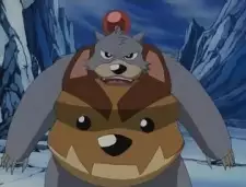 Bear Bomber