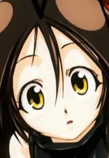 Gokicha