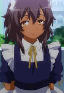 Daruku Hoshino