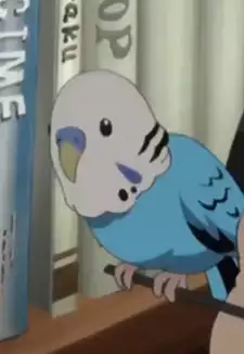 Inko