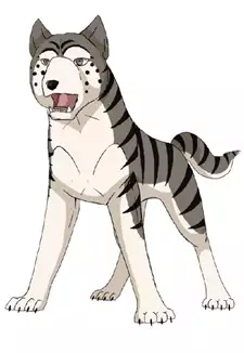 Shigure