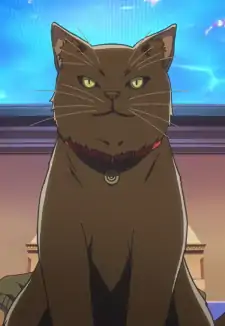 Black Cat