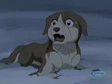 Teru