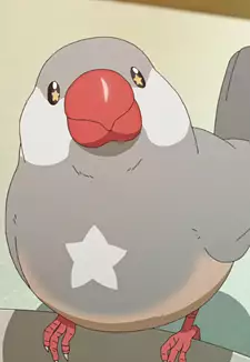 Pii-chan