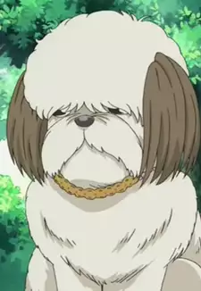 Chocola Noda