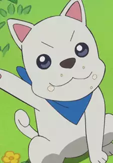 Dog