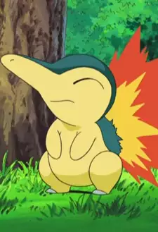 Cyndaquill