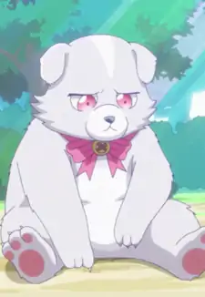 Kumakyuu