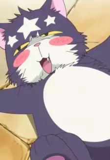 Three Star Cat