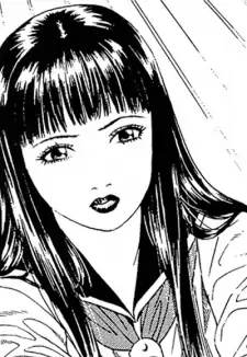Kanon