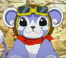 Pet