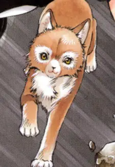 Inuki