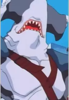 Pirate Hammerhead