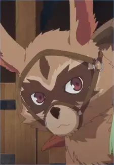 Draccoon