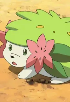 Shaymin