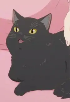 Daru