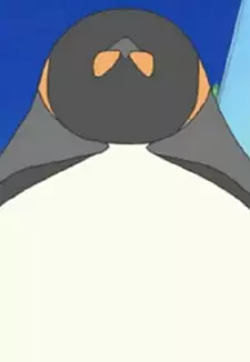 King Penguin
