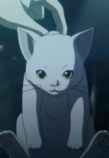 Ouji's Cat