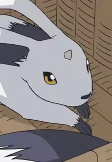 Gachatara