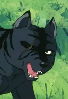 Kurotora