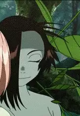 Zerui
