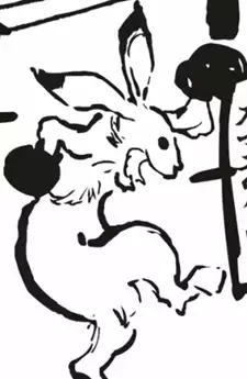 Rabbit