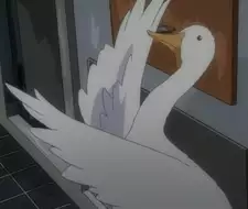 Tapioca