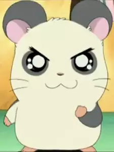 Panda-kun