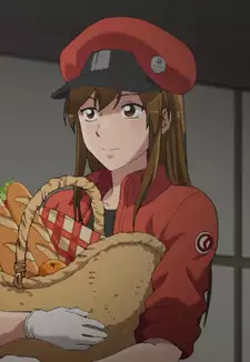 Sekkekkyuu AA5100