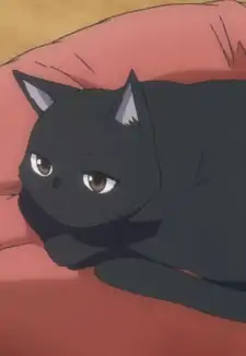 Chito