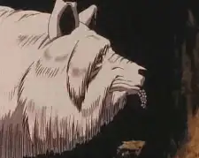 Wolf